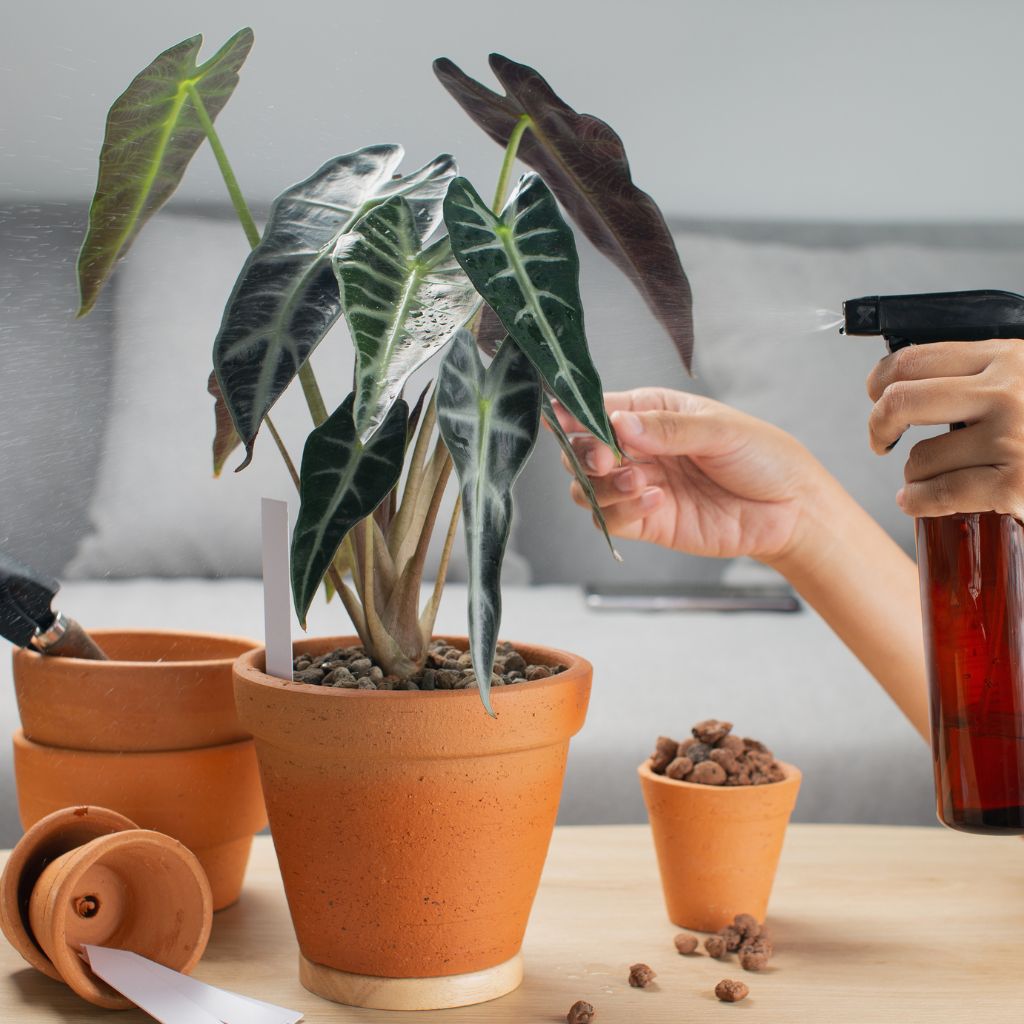 Návrh bez názvu (46)